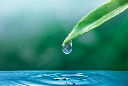 Screen Shot 2025-04-29 at 11.13.09 PM